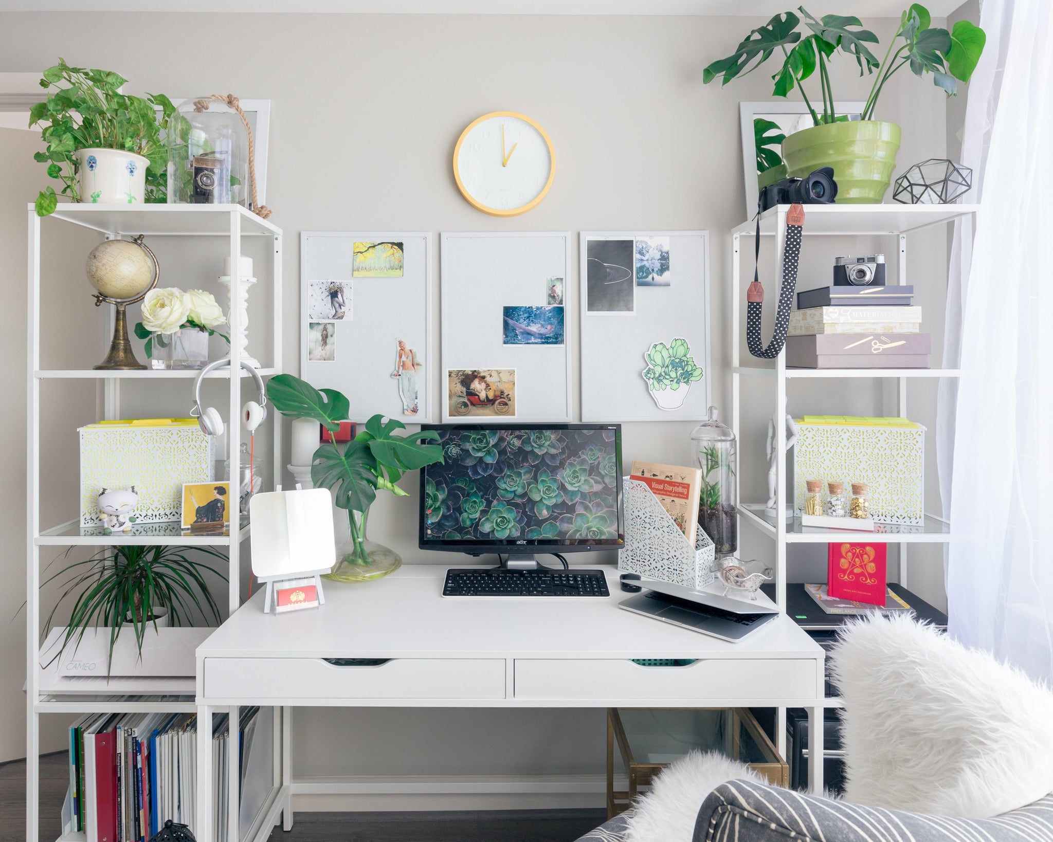 Pflanzen fürs Büro und Coworking Spaces - hausjungle